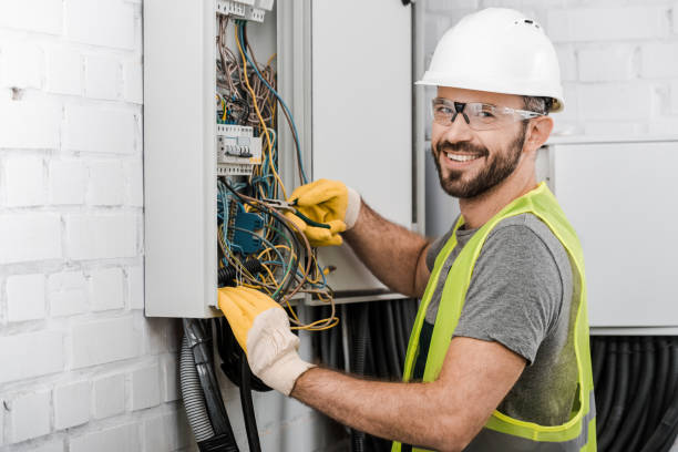 Best Electrical Rewiring Services  in Dimondale, MI