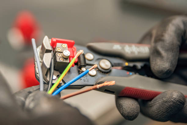 Best Electric Panel Repair  in Dimondale, MI