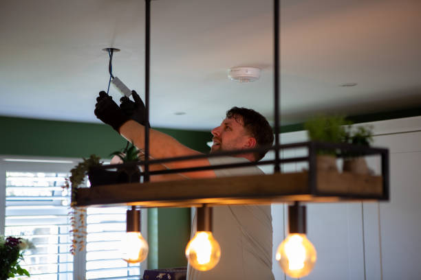 Best Generator Installation Services  in Dimondale, MI