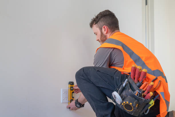 Best 24-Hour Electrician  in Dimondale, MI