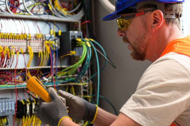 Best Electrical Upgrades for Homes  in Dimondale, MI