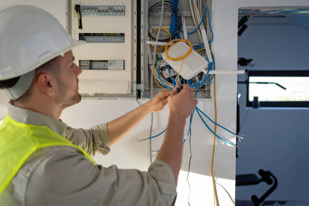 Best Ceiling Fan Installation Electrician  in Dimondale, MI